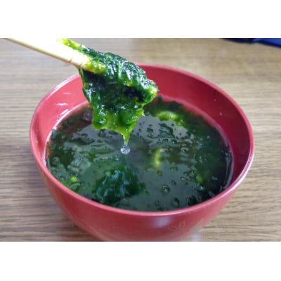 礒永水産の乾燥あおさ 100g | 鹿児島県長島町 | ふるさと納税