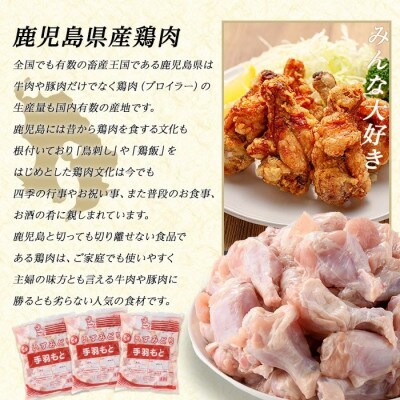 鹿児島県産 若どり 手羽元 計4kg 2kg×2P【まつぼっくり】_matu-1445_R7