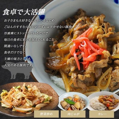 《訳あり》鹿児島県産 豚小間切れ 2kg(200g×10P)【まつぼっくり】matu-1531