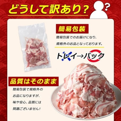 《訳あり》鹿児島県産 豚小間切れ 2kg(200g×10P)【まつぼっくり】matu-1531