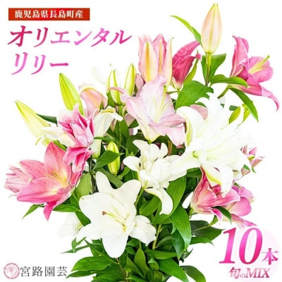 オリエンタルリリー(ユリ)旬のミックス10本【宮路園芸】miyaji-6058