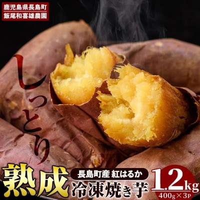 【先行予約!】和喜雄さんといつみさんの冷凍焼き芋 約1.2kg【飯尾和喜雄農園】iio-4851