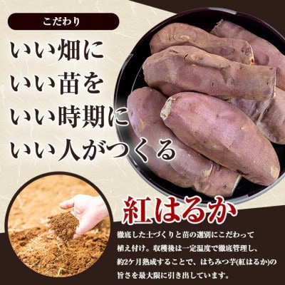 【先行予約!】和喜雄さんといつみさんの冷凍焼き芋 約1.2kg【飯尾和喜雄農園】iio-4851