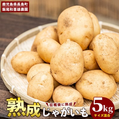 和喜雄さんといつみさんの熟成じゃがいも 計5kg【飯尾和喜雄農園】iio-1015