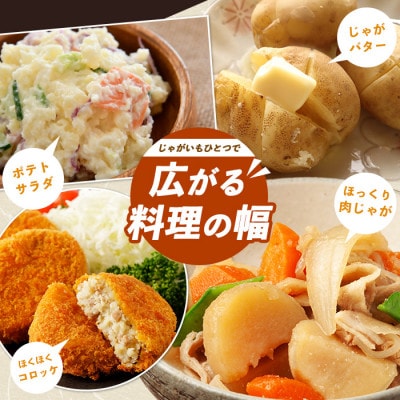 和喜雄さんといつみさんの熟成じゃがいも 計5kg【飯尾和喜雄農園】iio-1015