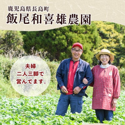 和喜雄さんといつみさんの熟成じゃがいも 計5kg【飯尾和喜雄農園】iio-1015