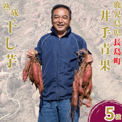 鹿児島県長島町産 熟成紅はるか干し芋(計500g・100g×5袋) さつまいも スイーツ