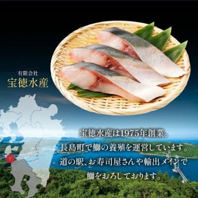 数量限定 急速冷凍 鰤 刺身用ブロック(4P)【宝徳水産】houtoku-1233