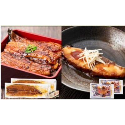 鹿児島県産鰻蒲焼き(約180g×2尾) 鰤王照り煮(2P)(長島町)