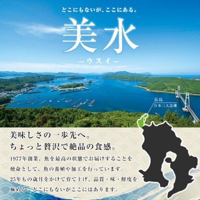 茶ぶり スキンレスロイン (片身分・2分の1カット済) 鰤カマ付 真空パック ブランド鰤 冷蔵