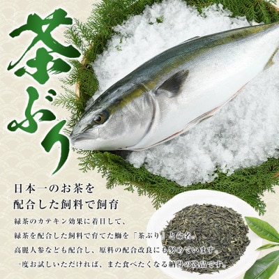 茶ぶり スキンレスロイン (片身分・2分の1カット済) 鰤カマ付 真空パック ブランド鰤 冷蔵