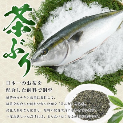 鹿児島県長島町 鰤 茶ぶり フィレ 2枚【ウスイ】usui-6122R7