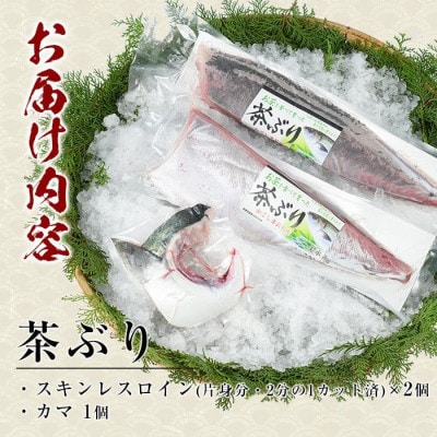 ブリカマ付!茶ぶり スキンレスロイン 片身分・2分の1カット済【ウスイ】usui-1033R7