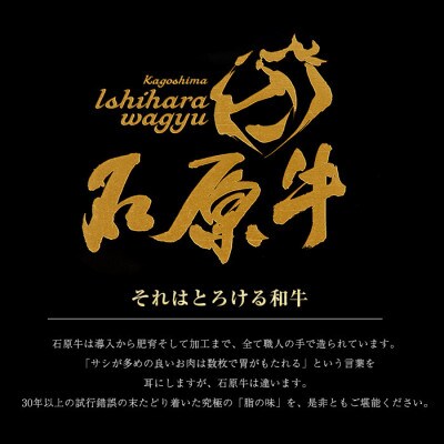 石原牛 特製もつ鍋セット 2人前 国産【石原PRO】(長島町) ishihara-1351