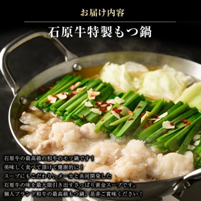 石原牛 特製もつ鍋セット 4人前 国産【石原PRO】(長島町) ishihara-1352