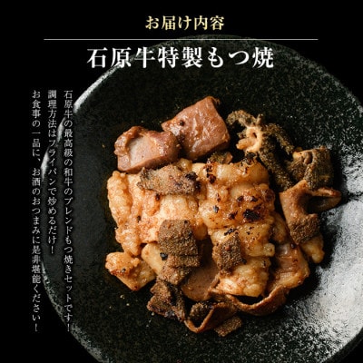 石原牛 ブレンドもつ焼きセット 味付けホルモン【石原PRO】(長島町) ishihara-1353
