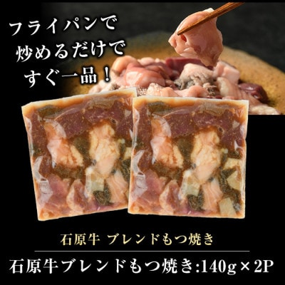 石原牛 ブレンドもつ焼きセット 味付けホルモン【石原PRO】(長島町) ishihara-1353