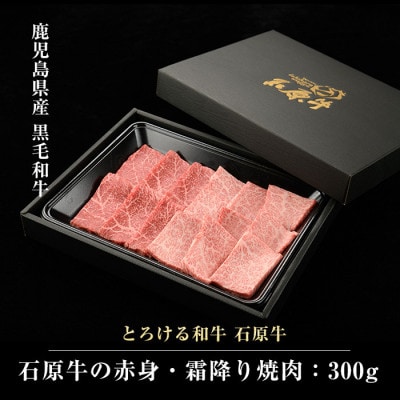 石原牛の赤身・霜降り 焼肉セット 約300g【石原PRO】(長島町) ishihara-1348