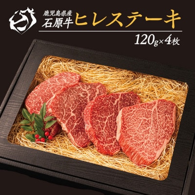 【数量限定】石原牛のヒレステーキ 計480g【石原PRO】(長島町) ishihara-1346