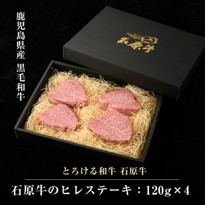 【数量限定】石原牛のヒレステーキ 計480g【石原PRO】(長島町) ishihara-1346