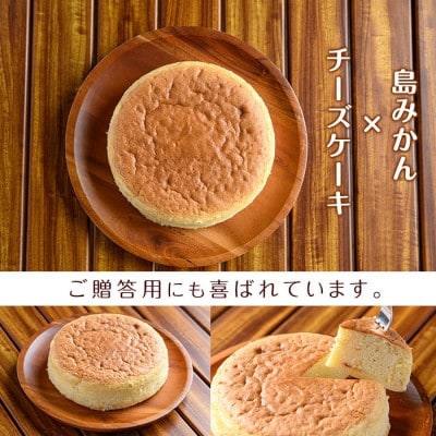 鹿児島県産 島みかん使用 チーズケーキ(直径15cm)【欧風菓子コロンブス】coron-7015