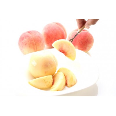 【2022年先行受付】大人気!!美味しい品種厳選! 「白桃 約3kg」
