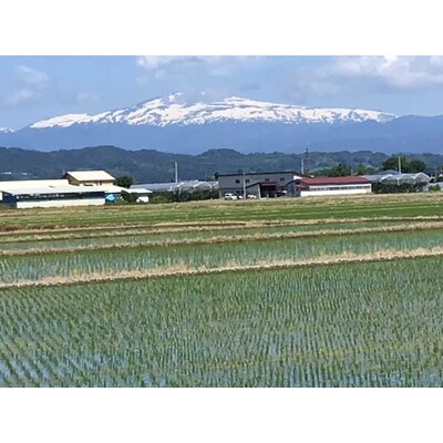 【2020年産先行受付】中山町産三米(つや姫・雪若丸・はえぬき)食べ比べセット 合計6kg