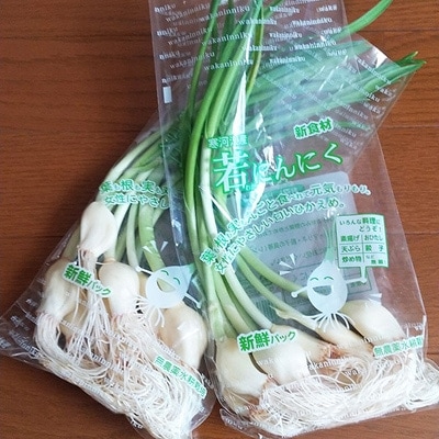 【芋煮会発祥の地】山形県中山町産冬野菜　詰め合わせ　約4.5kg