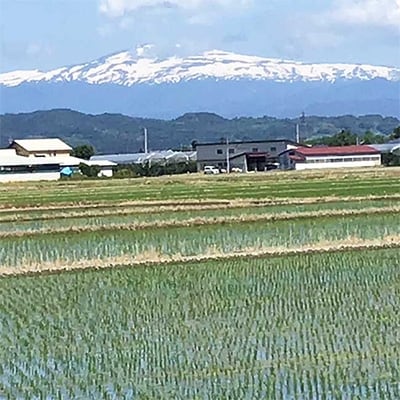 【令和3年産先行受付】中山町産三米(つや姫・雪若丸・はえぬき)食べくらべセット　計6.3kg