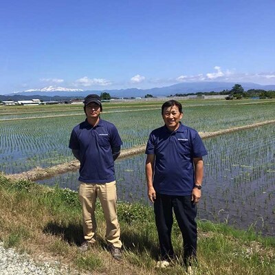 【令和3年産先行受付】中山町産三米(つや姫・雪若丸・ひまわり)食べくらべセット　計6.3kg