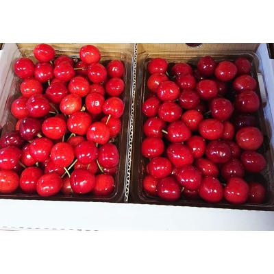 山形県中山町産さくらんぼ【佐藤錦】秀品Lサイズ以上 約1kg