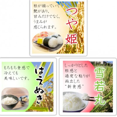 【2022年産先行受付】中山町産三米(つや姫・雪若丸・はえぬき)食べくらべセット (精米)6kg