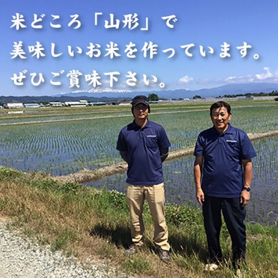 【2022年産先行受付】中山町産三米(つや姫・雪若丸・はえぬき)食べくらべセット (精米)6kg