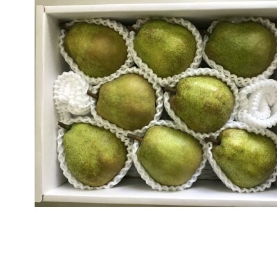 【令和5年産先行受付】山形県中山町産 大粒「ラ・フランス」3kg(7～9玉)