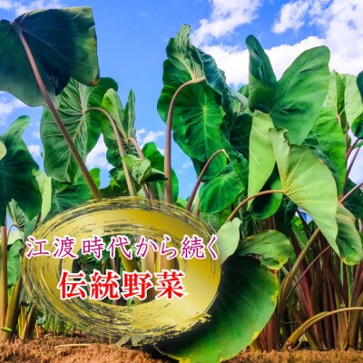【芋煮会発祥の地中山町産里いも】山形県伝統野菜 子姫芋(こひめいも)3kg