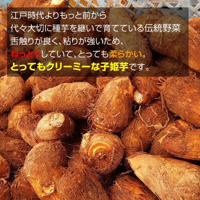 【芋煮会発祥の地中山町産里いも】山形県伝統野菜 子姫芋(こひめいも)3kg