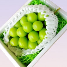 【令和5年産先行受付】大房大粒シャインマスカット　秀品　約700g～800g