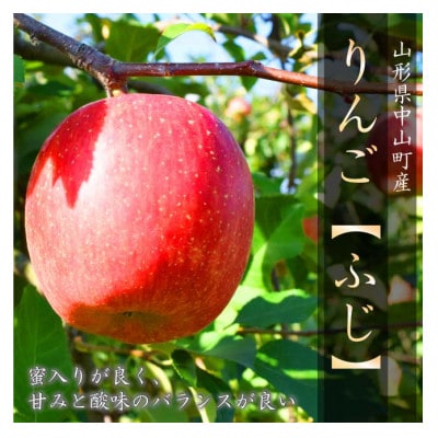 令和6年産先行受付　山形県中山町産ふじリンゴ<特秀品>　5kg