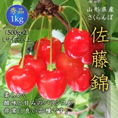 【令和6年産先行受付】山形県中山町産さくらんぼ<佐藤錦秀品> 1kg Lサイズ以上