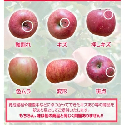 令和5年産 山形県産ふじりんご＜訳あり＞約10kg　32玉～56玉 ※数量限定