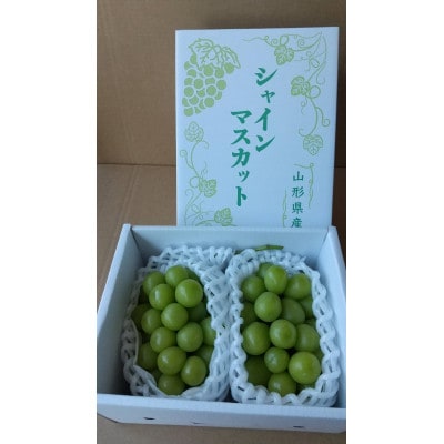 【令和7年産先行受付】山形県中山町産大粒シャインマスカット秀品　2房(約1.2kg～約1.3kg)