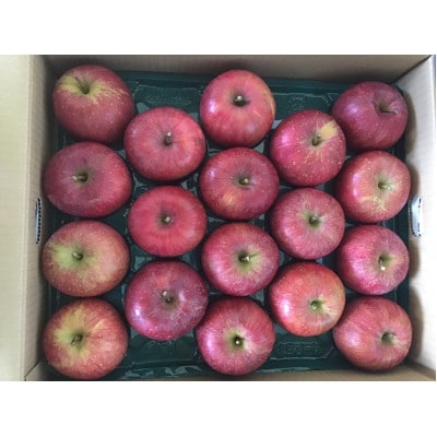 令和7年産先行受付　山形県中山町産ふじリンゴ<特秀品>5kg