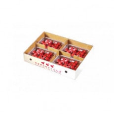 令和7年産先行受付　山形県中山町産さくらんぼ<佐藤錦>秀品　約800g(200g×4P)