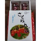 『令和8年産先行受付』山形県中山町産<紅さやか>秀品　Lサイズ以上　約800g(200g×4P)