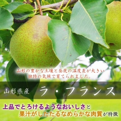 令和7年産先行受付 中山町産高糖度芳醇「ラ・フランス」約2kg(5～8玉)　特秀品