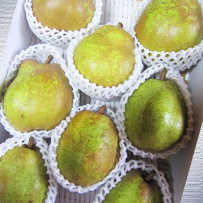 令和7年産先行受付 中山町産高糖度芳醇「ラ・フランス」5kg(10～20玉)　特秀品