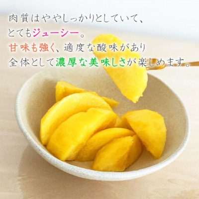 【令和8年産先行受付】山形県産黄桃 約2kg(品種おまかせ) 特秀品　柔らかくなる桃