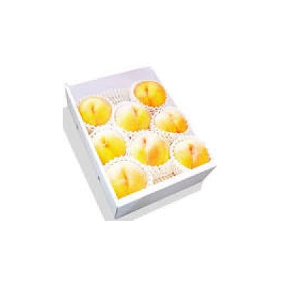 【令和8年産先行受付】山形県産黄桃 約2kg(品種おまかせ) 特秀品　柔らかくなる桃