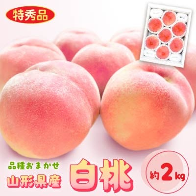 山形県産白桃 約2kg(品種おまかせ) 特秀品　柔らかくなる桃【令和8年産】