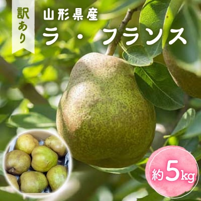 【令和8年産先行受付】山形県産「ラ・フランス」訳あり家庭用　約5kg